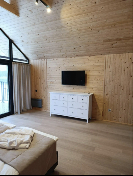 Барн Стандарт — фото 8