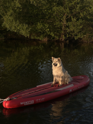 SUP-серф — фото 1