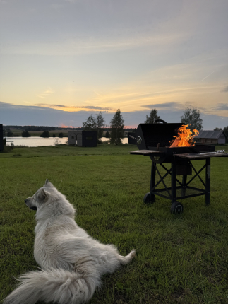 Архангельские дачи (Дом Полярная звезда) — фото