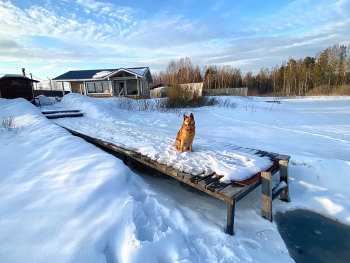 Дом Большой на заливе — фото 2