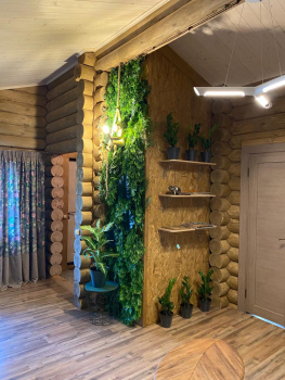 Дом Тропикана — фото 11