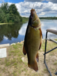 Рыбалка — фото 1