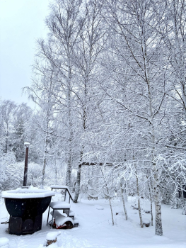 Дом Лесной — фото 3