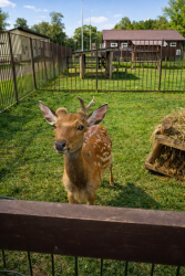 Конные прогулки — фото 3