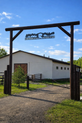 Конные прогулки — фото 1