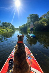 SUP-серф — фото 2