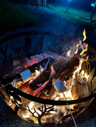 По Щучьему Велению — фото