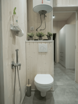 Ель — фото 10