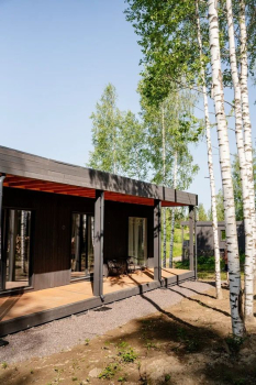 Кипарис — фото 10