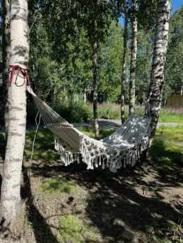 Кедр с купелью — фото 5