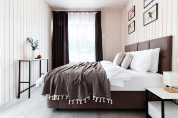 Эвкалипт — фото 2