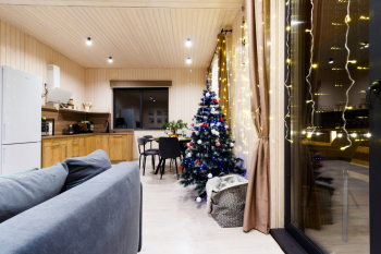 Эвкалипт — фото 7