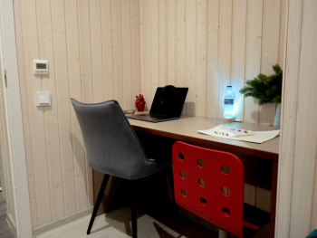 Рябина — фото 10