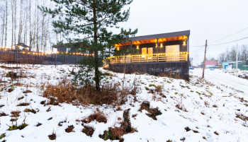 Эвкалипт — фото 8