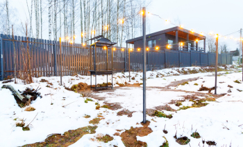 Эвкалипт — фото 10