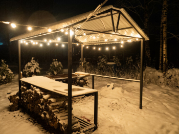 Рябина — фото 12