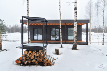 Кипарис — фото 12