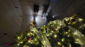 Кедр с купелью — фото 9