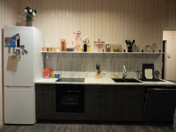 Рябина — фото 14