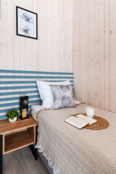 Кипарис — фото 15