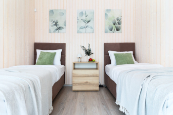 Эвкалипт — фото 5