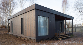 Ель — фото 4