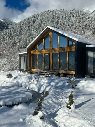 Эйвис — фото