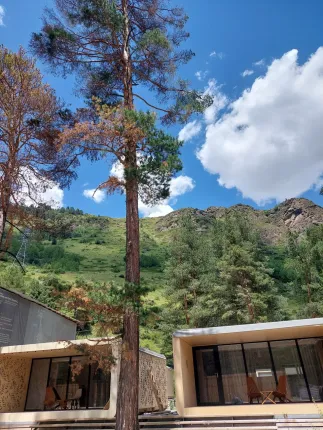 Naturotel — фото