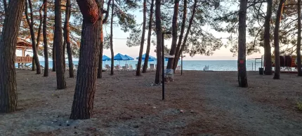 База отдыха "АССА" — фото