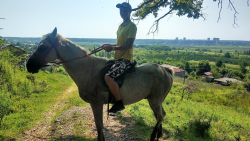 Конные прогулки — фото 1