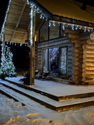 Козы да березы — фото