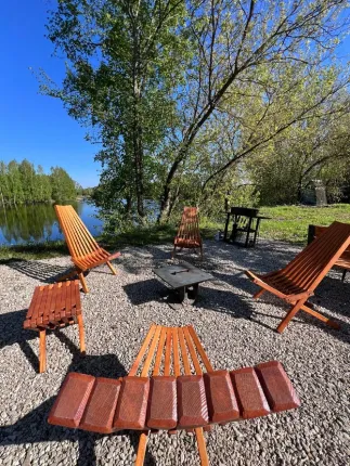 Гнездо — фото