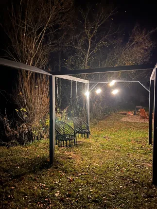 Гнездо — фото