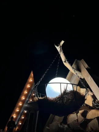 Гнездо — фото