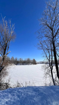 Основной — фото 14