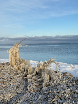 Домик Шоколад — фото