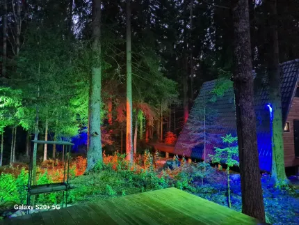 Клевер ЭКОФОРЕСТ — фото