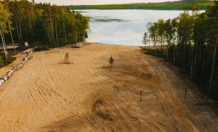 Клевер ЭКОФОРЕСТ — фото