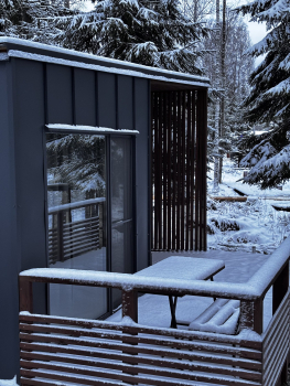 Дом Смарт на 2-4 персон с купелью — фото 2