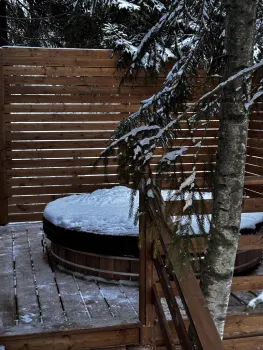 Дом Смарт на 2-4 персон с купелью — фото 9