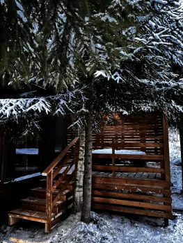 Дом Смарт на 2-4 персон с купелью — фото 10