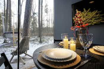 Панорамный домик с сауной — фото 7