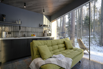 Панорамный домик с сауной — фото 11