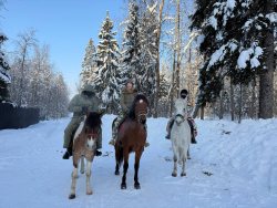 Конные прогулки — фото 1