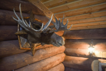 Коттедж №5 с сауной — фото 9