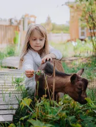 Ферма — фото 1