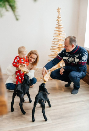 Семейная мини-ферма Фазенда — фото