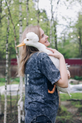 Ферма — фото 6