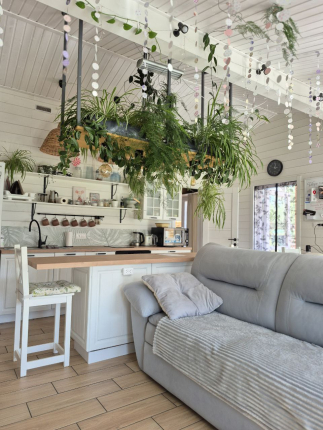 Mouse House — фото