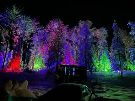 Клевер Клеверная бухта — фото